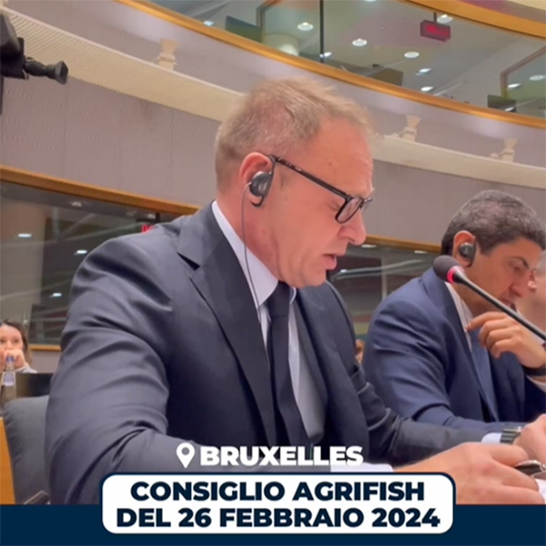 Il Ministro dell'Agricoltura, della Sovranità alimentare e delle Foreste Francesco Lollobrigida durante il suo intervento al consiglio Agrifish (foto tratta dal profilo facebook del Ministro)